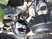 PROMAX ATV 250 PRO (2025)
